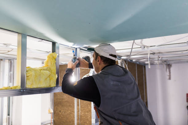 Best Insulation for Specific Applications in Fruitland, IA