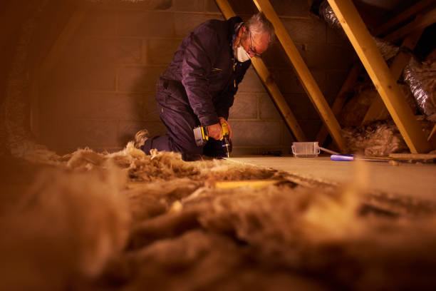 Best Commercial Insulation in Fruitland, IA